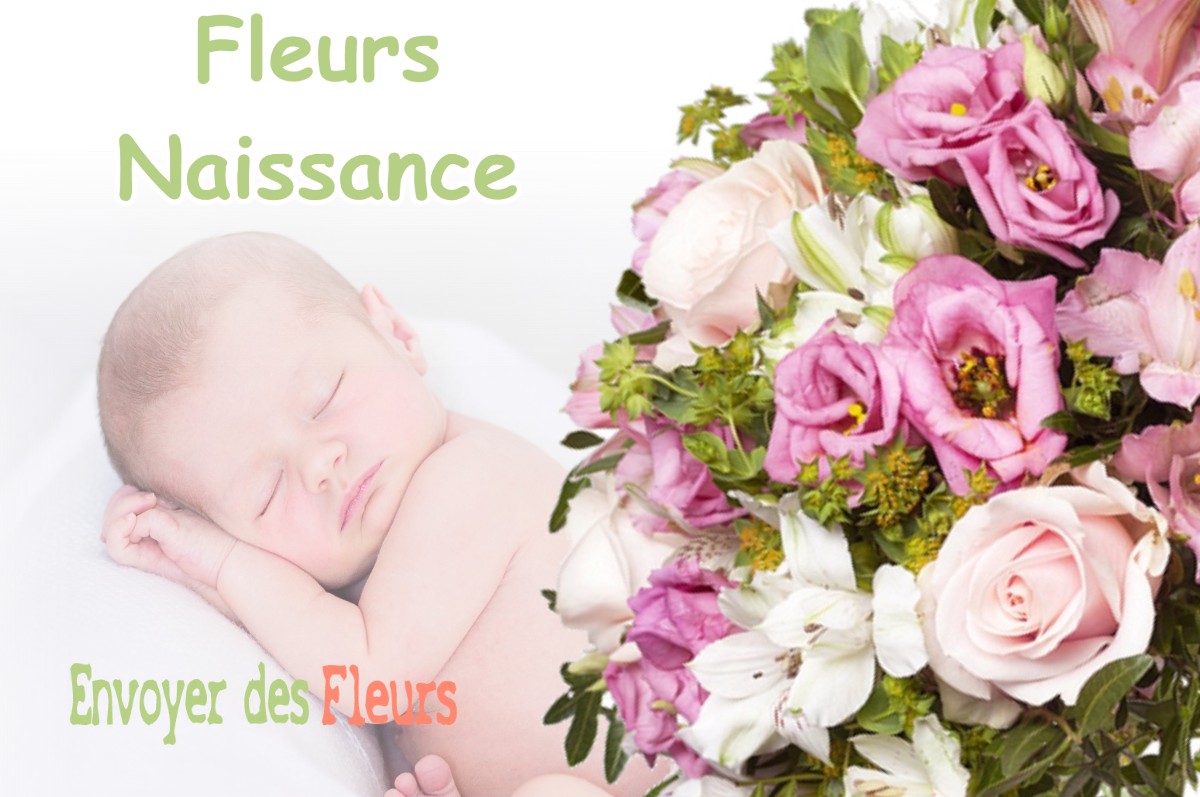 lIVRAISON FLEURS NAISSANCE à LA-GARENNE-COLOMBES